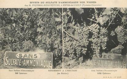 / CPA FRANCE 66 "Espira de l'Agly, effets du sulfate d'ammoniaque sur Vignes"