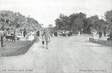 / CPA FRANCE 44 "La Baule les Pins, place des Palmiers"