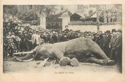 / CPA FRANCE 37 "Tours, la mort de Fritz" / ELEPHANT