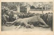 37 Indre Et Loire / CPA FRANCE 37 "Tours, la mort de Fritz" / ELEPHANT