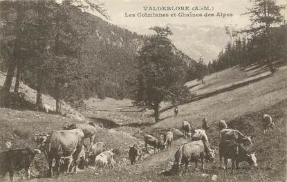 / CPA FRANCE 06 "Valdeblore, les Colmianes et chaîne des Alpes"