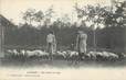 / CPA FRANCE 40 "Landes, un instant de repos" / MOUTON