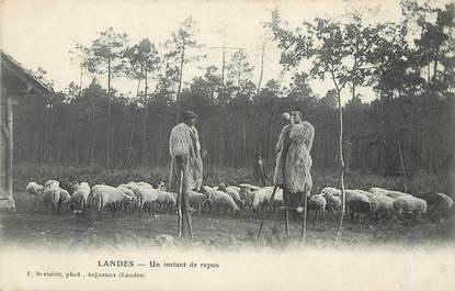 / CPA FRANCE 40 "Landes, un instant de repos" / MOUTON