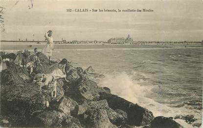 / CPA FRANCE 62 "Calais, la cueillette des moules"