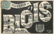 41 Loir Et Cher / CPA FRANCE 41 "Souvenir de Blois "