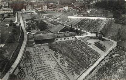 / CPSM FRANCE 27 "Bernay, maison Legein, pépinières"