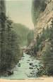 38 Isere / CPA FRANCE 38 "Grande Chartreuse, pont du grand Logis"