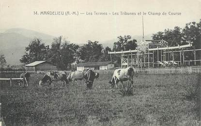 CPA FRANCE 06 "Mandelieu, les Termes, le champ de courses"