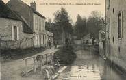 89 Yonne CPA FRANCE 89  "Saint Julien du Sault, chemin de l'Ile d'Amour"