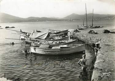 / CPSM FRANCE 83 "Saint Tropez, vue sur le Golfe"