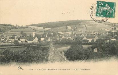 / CPA FRANCE 58 "Chateauneuf Val de Bargis, vue d'ensemble"