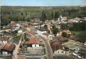 33 Gironde / CPSM FRANCE 33 "Saint Selve, vue générale"