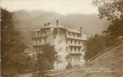 CPA FRANCE 74 "Duingt, Lac d'Annecy, grand Hôtel des Libellules"