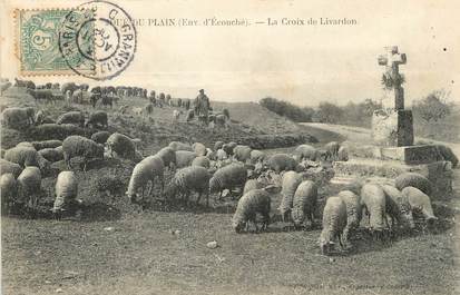 / CPA FRANCE 61 "Joué du Plain, la croix du Livardon" / MOUTON / CACHET AMBULANT