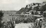 83 Var / CPSM FRANCE 83 "Ile de Port Cros, vue sur le port'"