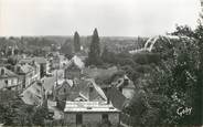 27 Eure / CPSM FRANCE 27 "Saint Pierre de Vauvray, vue d'ensemble et le pont"