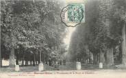 10 Aube / CPA FRANCE 10 "Bar sur Seine, promenades de la porte de Chatillon"