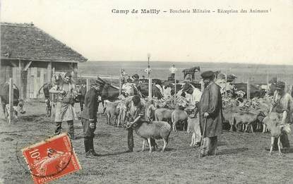 / CPA FRANCE 10 "Le Camp de Mailly, boucherie Militaire"