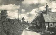 76 Seine Maritime / CPSM FRANCE 76 "Gournay en Bray, un chemin du vieux Saint Clair"