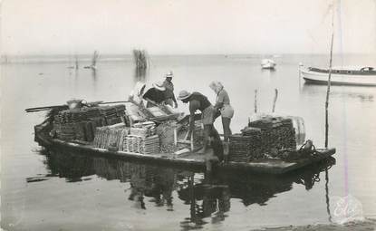 / CPSM FRANCE 33 "Bassin d'Arcachon, travaux Ostreicoles, le detroquage"