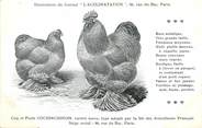 Oiseaux / CPA COQ / POULE "Journal l'acclimatation, variété Cochinchinois"