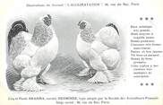 Oiseaux / CPA COQ / POULE "Journal l'acclimatation, variété Herminée"