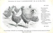 Oiseaux / CPA COQ / POULE "Journal l'acclimatation, coucou de Flandre"