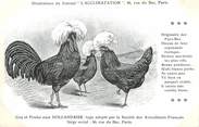 Oiseaux / CPA COQ / POULE "Journal l'acclimatation, race Hollandaise"
