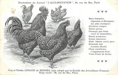 / CPA COQ / POULE "Journal l'acclimatation, coucou de Rennes"