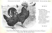 Oiseaux / CPA COQ / POULE "Journal l'acclimatation,Type Minorque"