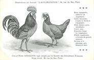 Oiseaux / CPA COQ / POULE "Journal l'acclimatation,Type Andalous"