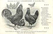 Oiseaux / CPA COQ / POULE "Journal l'acclimatation, Type de Caumont"