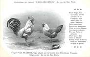 Oiseaux / CPA COQ / POULE "Journal l'acclimatation, type Braekel"