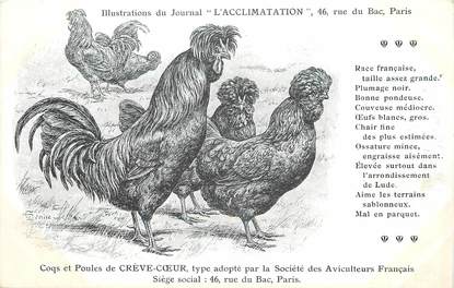 / CPA COQ / POULE "Journal l'acclimatation, type de Crève Coeur"