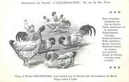 Oiseaux / CPA COQ / POULE "Journal l'acclimatation, type Bourbourg"