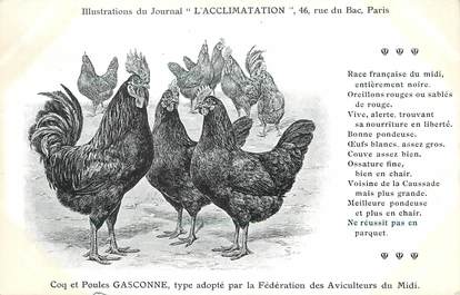 / CPA COQ / POULE "Journal l'acclimatation, type Gasconne"