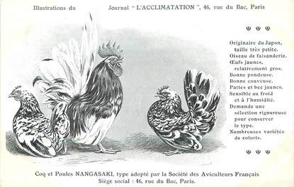 / CPA COQ / POULE "Journal l'acclimatation, type Nagasaki"