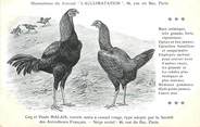 Oiseaux / CPA COQ / POULE "Journal l'acclimatation, type Malais"