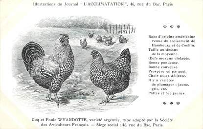 / CPA COQ / POULE "Journal l'acclimatation, variété Wyandotte"