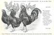 / CPA COQ / POULE "Journal l'acclimatation, type de Caussade"