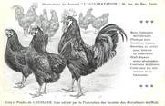 Oiseaux / CPA COQ / POULE "Journal l'acclimatation, type de Caussade"