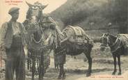 65 Haute PyrÉnÉe / CPA FRANCE 65 "Conducteur de Mulets" / ÂNE