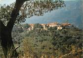 06 Alpe Maritime / CPSM FRANCE 06 "Castellar, charmant village"