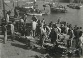 29 Finistere / CPSM FRANCE 29 "Douarnenez, arrivage de la sardine" / PÊCHE