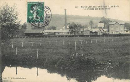 / CPA FRANCE 76  "Neufchâtel en Bray, les prés et l'usine des laits purs"