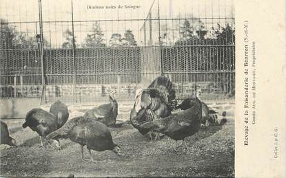 / CPA FRANCE 77 "Bourron, élevage de la Faisanderie"