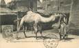CPA FRANCE 13 "Marseille, Exposition coloniale, un mauritanien et son chameau"