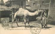 13 Bouch Du Rhone CPA FRANCE 13 "Marseille, Exposition coloniale, un mauritanien et son chameau"