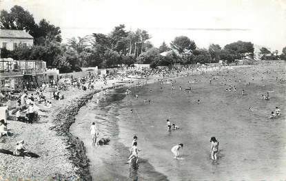  / CPSM FRANCE 83 "Toulon, Mar Vivo, la plage"