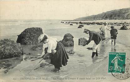 CPA FRANCE 14 "Trouville sur Mer, la Pêche à la crevette"